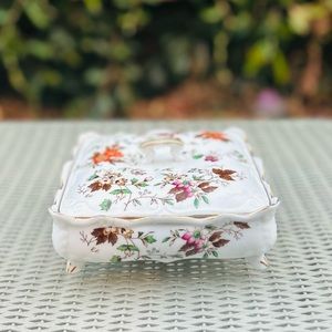 Vintage EW Japan Autumn glory jewelry dish fine China